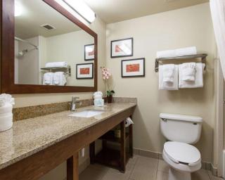Comfort Suites Central-I-44 - Tulsa - 4