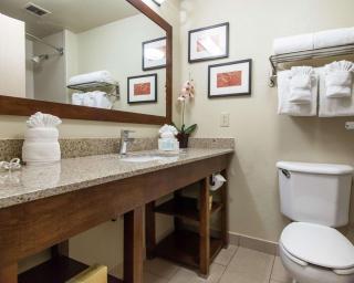 Comfort Suites Central-I-44 - Tulsa - 6