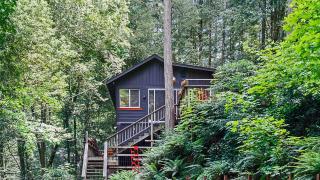 Big Bertha's - Guerneville - 8
