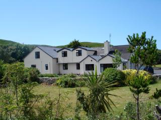 Ben Breen House B&B - Clifden - 0