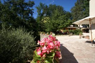 Il Querceto - Bosco - 6
