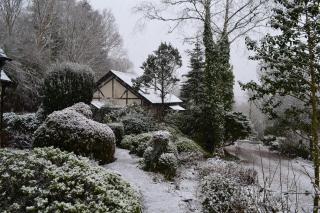 Llethrau Forest & Nature Retreats - 3