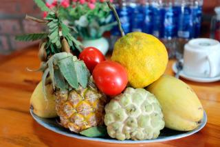 Ninh Binh Mountain View Homestay & Restaurant - Ninh Binh - 8