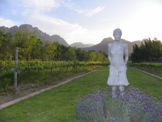 Franschhoek Rose Cottages - Franschhoek - 8
