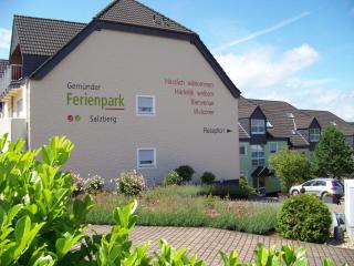 Gemünder Ferienpark Salzberg - Schleiden - 1