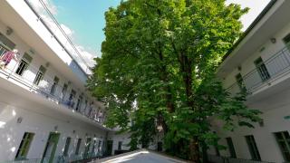 The Hive Party Hostel Budapest - Budapest - 8