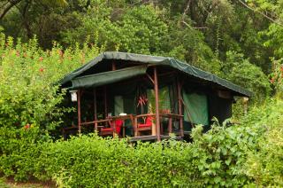 La Leona Eco Lodge - Carate - 3