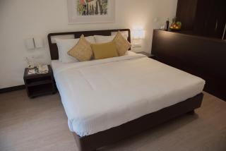 Hotel Sunderban Resort & Spa - Pune - 5