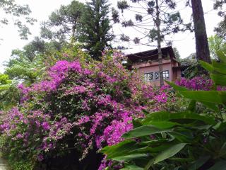 Casa Fazenda Inglesa Petrópolis RJ - Petrópolis - 7