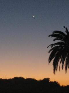 7 Moons B&B - Valencia - 5