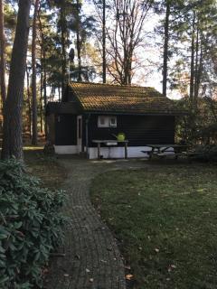 Kleine huisje op de Veluwe - Otterlo - 4
