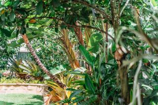 Balmoral Queenslander - 5