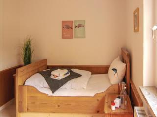 Cozy Apartment In Crinitzberg-Bärenwalde - Bärenwalde - 5