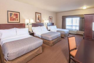 Ramada by Wyndham Drumheller Hotel & Suites - Drumheller - 3