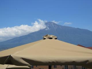 Boulevard Inn Mt Meru - Arusha - 6