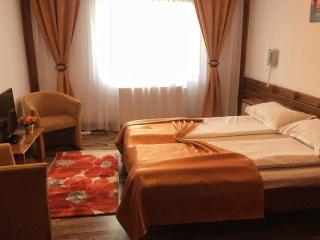 Vila Romanitza - Dărmăneşti - 2