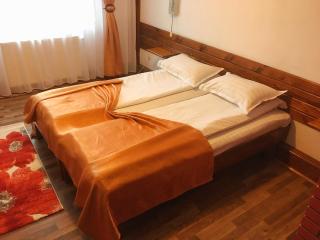 Vila Romanitza - Dărmăneşti - 3