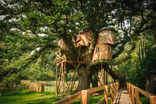 Fox & Hounds Country Hotel - 4