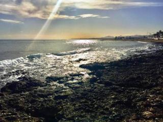 Flower Beach Suite 1 - 8