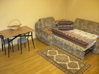 Большая Васильковская 136 - 1