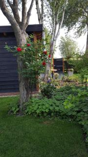 Chalet - Castricum - 8