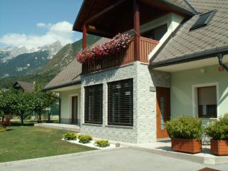 ISONZO APARTMENT - Bovec - 3
