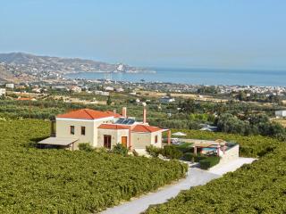 Cretan Vineyard Hill Villa - Káto Kalésia - 6
