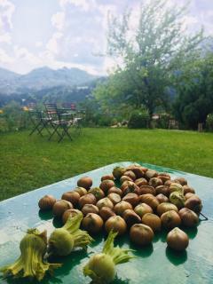 Ξενώνας Αλώνι-Guesthouse Aloni - 3