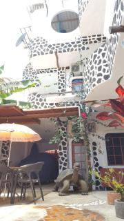 Hotel Coloma Galapagos - Puerto Ayora - 4
