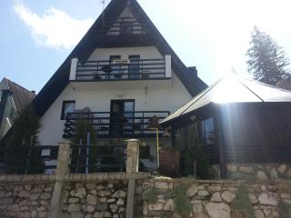 Vila Zahre Vlasic - Vlasic - 4