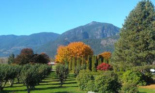 Harrison Hammond House Farmstay - 2