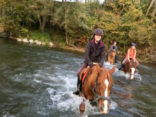 Chambres d'Hôtes La Maison Blanche - 7