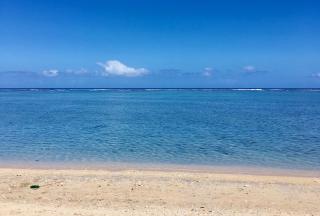 Tropic'Alizé, - superbe T3, piscine, à 2 min du lagon de L'Hermitage - 6