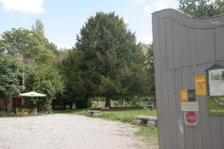 le Petit Paris - Flagey-Échézeaux - 6