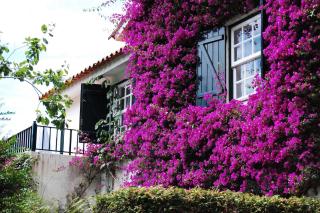 Casa de Esteiro - 1