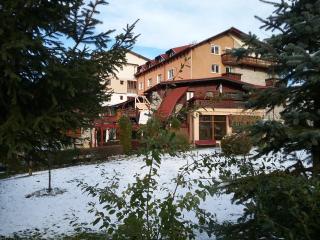 Studio Delia - Poiana Brasov - 8