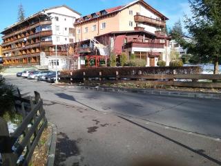 Studio Delia - Poiana Brasov - 9