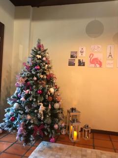 Paz e Aconchego. - 6