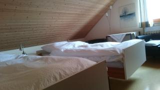Ferienwohnung Alsmeier - Bad Bentheim - 1