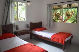 Casa Oasis de colibri - 6