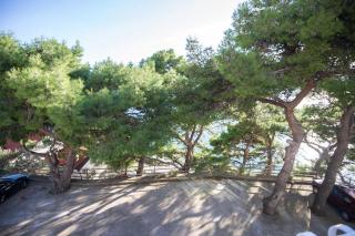 Apartments and rooms by the sea Podaca, Makarska - 16114 - 7