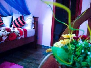 New Blue Home - Ella - 9