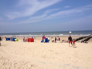 Boutique studio Domburg - 5