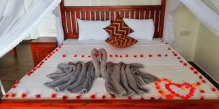 Divine View Homestay - Ella - 2