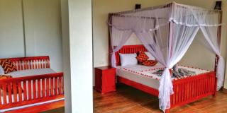 Divine View Homestay - Ella - 5