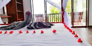 Divine View Homestay - Ella - 4