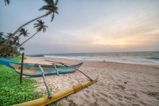 Greenparrot-Villa - Ambalangoda - 4