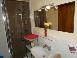 Angela Apartment - Piesendorf - 2
