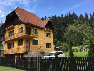 Balázs Holiday Apartment - Băile Tuşnad - 0