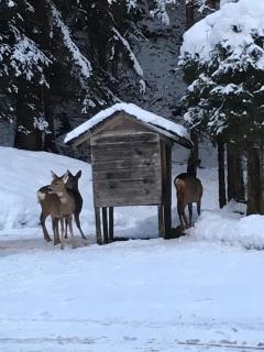Ferienwohnung Bacher Oberkumbichl 900 - 3